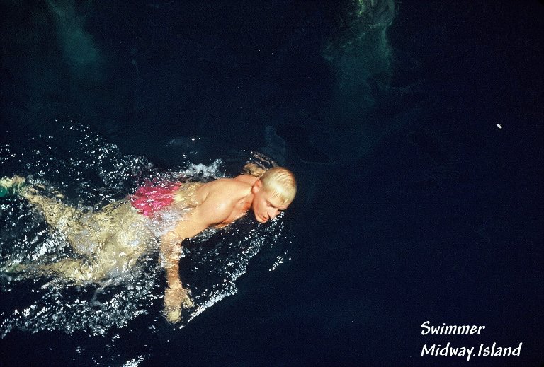 Swimmer